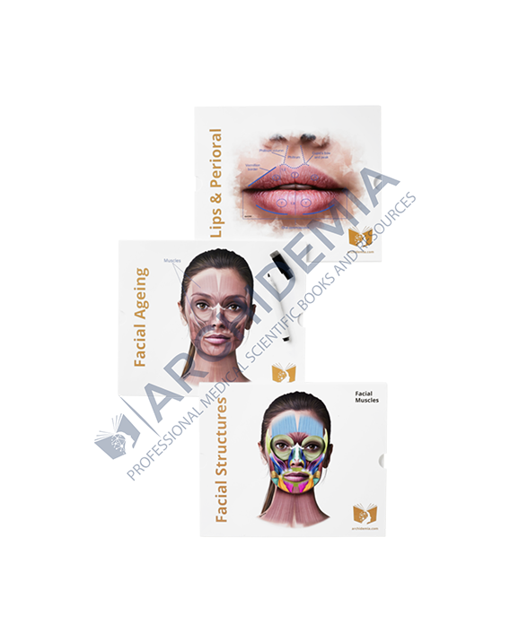 Illustrated Gatefold Set of 3