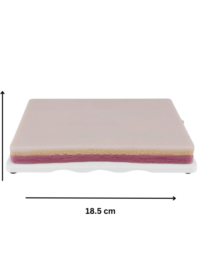Injection Training Practice Simulation Human Skin Model Pad