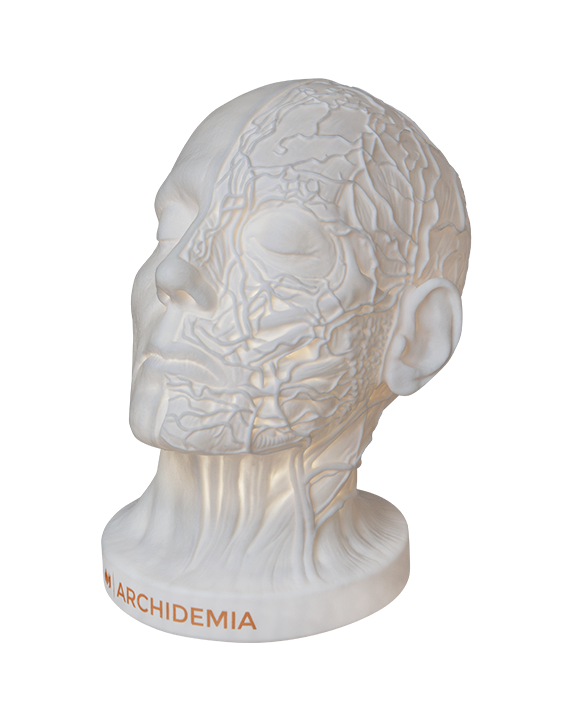 Glow Anatomy – Face Desk Lamp ™