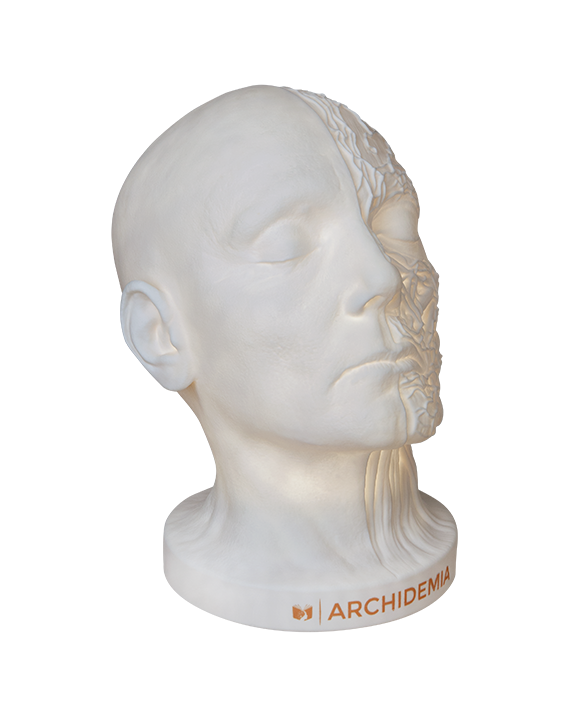 Glow Anatomy – Face Desk Lamp ™