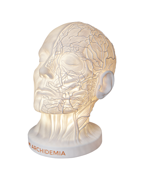 Glow Anatomy – Face Desk Lamp ™