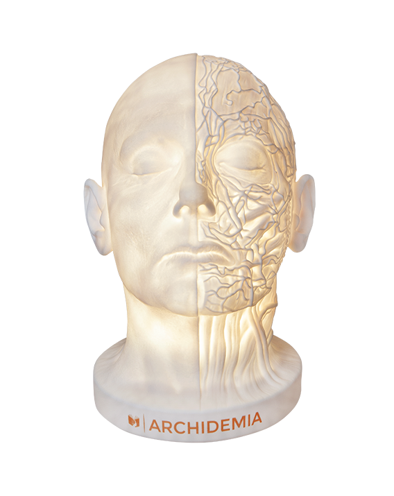Glow Anatomy – Face Desk Lamp ™