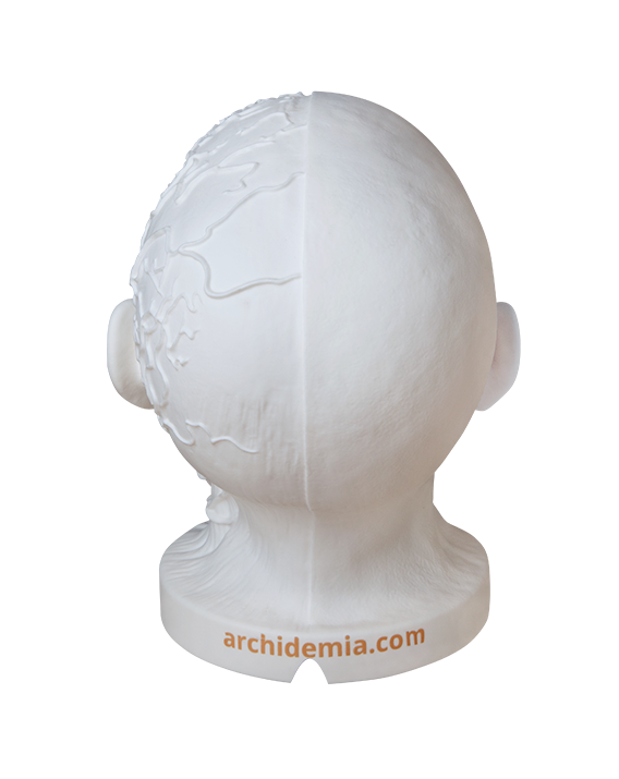 Glow Anatomy – Face Desk Lamp ™