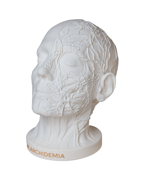 Glow Anatomy – Face Desk Lamp ™