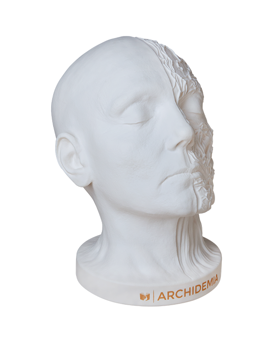 Glow Anatomy – Face Desk Lamp ™