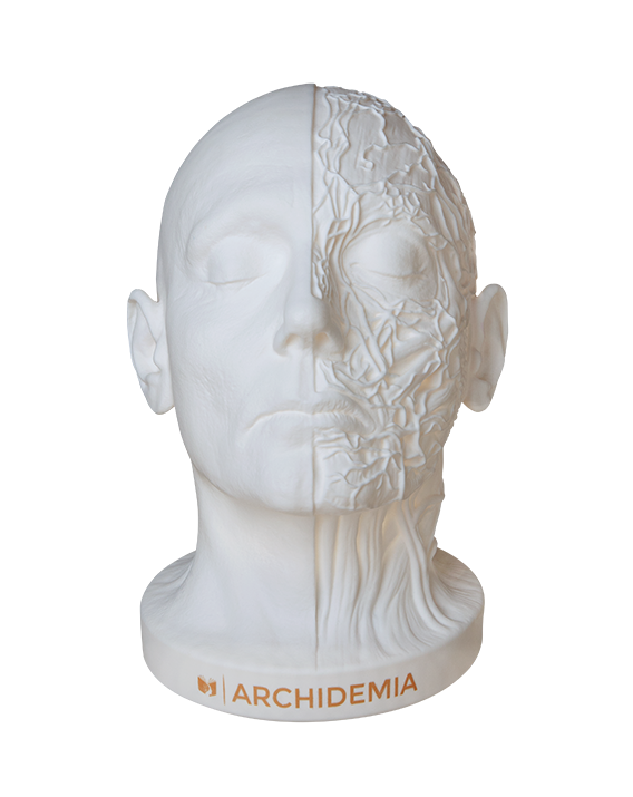 Glow Anatomy – Face Desk Lamp ™