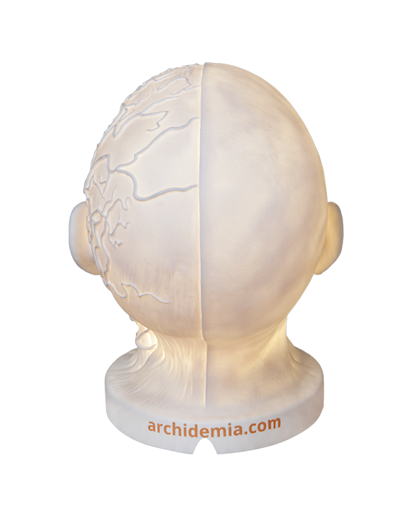 Glow Anatomy – Face Desk Lamp ™