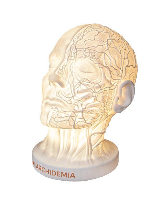 Glow Anatomy – Face Desk Lamp ™