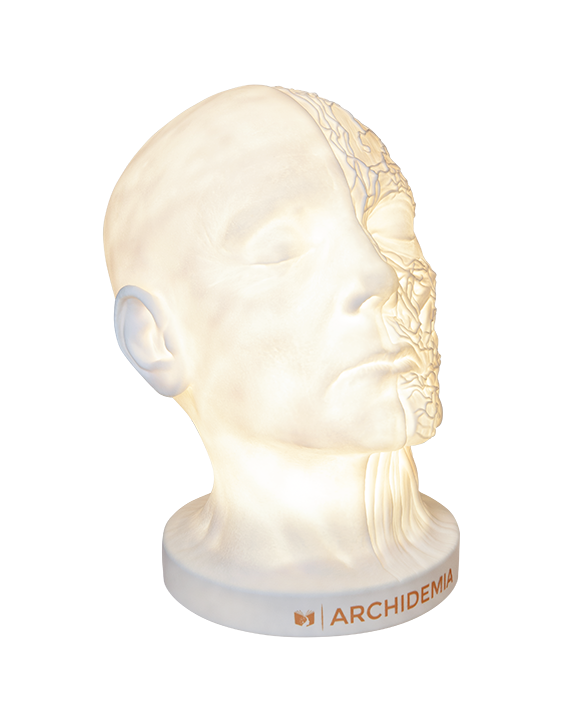 Glow Anatomy – Face Desk Lamp ™