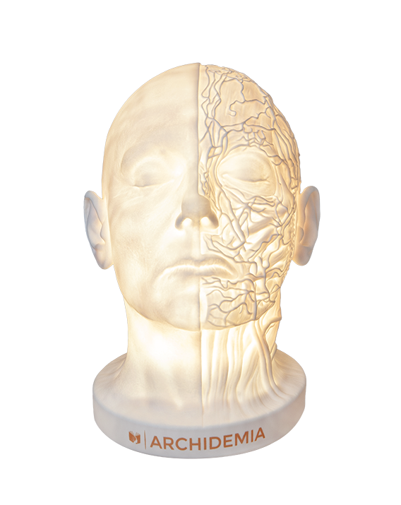 Glow Anatomy – Face Desk Lamp ™